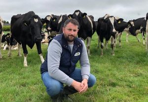 cow boluses