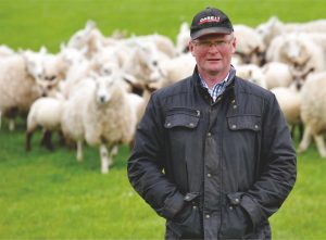 ewe bolus drives production